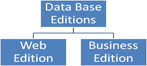 Business Edition DB includes